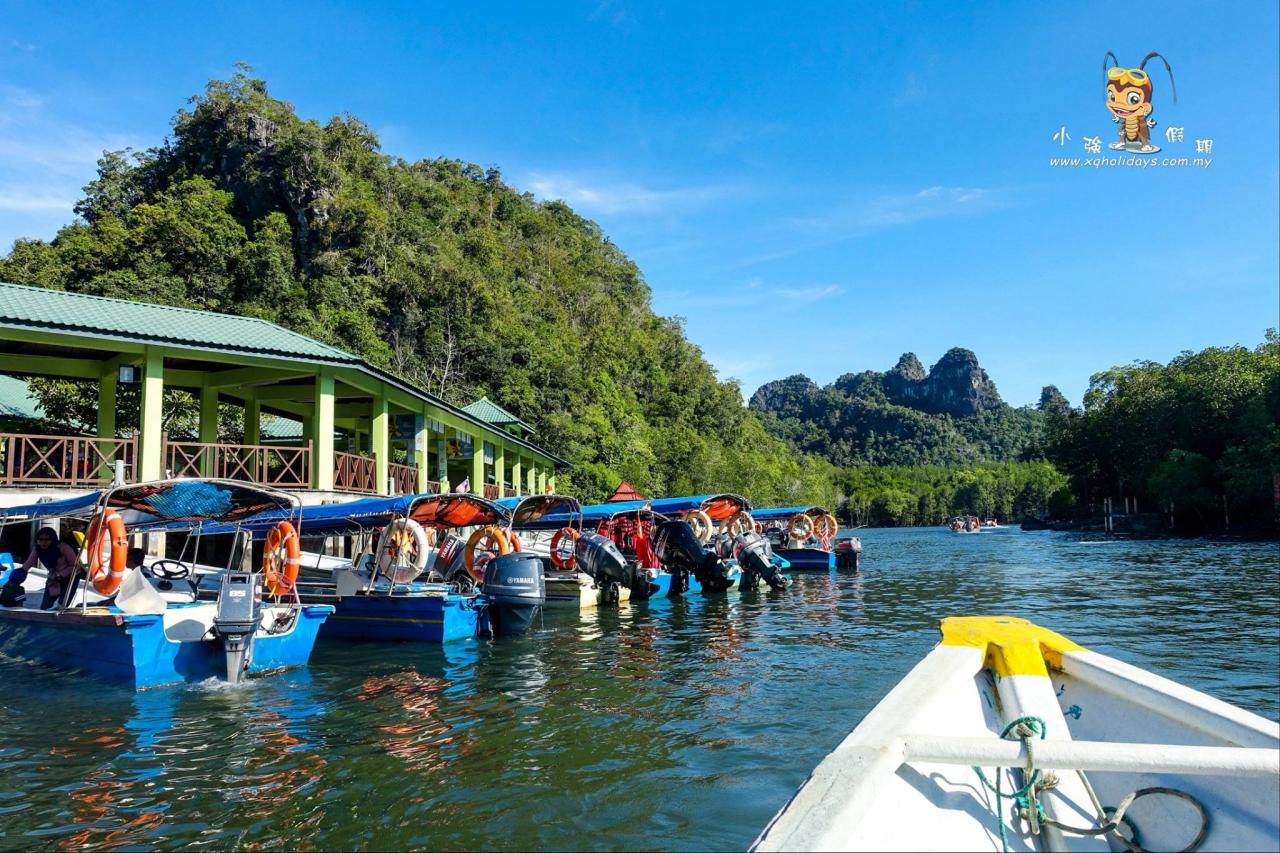 Mangrove Tour Langkawi: Eksplorasi Ekosistem Pesisir yang Memesona